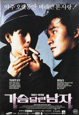 作者电影理论解析